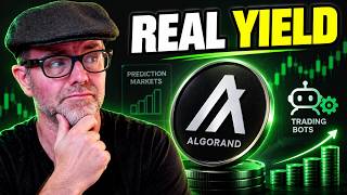 My Secret Algorand Money Hack (It's Not Price)
