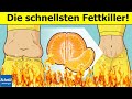 DIe besten 18 Lebensmittel zum Fett verbrennen für Frauen! | Abnehm Tricks