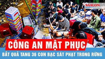 Công an mật phục, bắt quả tang 36 con bạc đang sát phạt trong rừng, thu giữ số tiền khủng | Tin tức