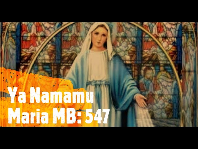 Ya Namamu Maria - Instrumen Karoke MB547 (Lagu Maria) class=