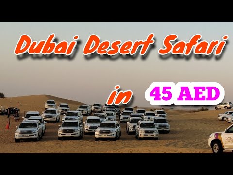 Dubai Desert Safari in Lowest price | Budget Dubai Desert Safari🚙 | Only in 45 AED