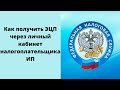 Как получить ЭЦП через личный кабинет налогоплательщика ИП