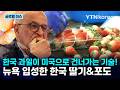 [반복재생] "한국 딸기와 사랑에 빠지다" 한국 과일의 미국 뉴욕 입성기! / YTN korean