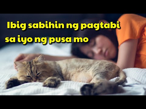 Video: Paano Lumipat sa Paraan ng Hindi 'Poo (na may Mga Larawan)