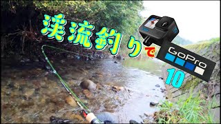 GoPro HERO 10を使って渓流釣り【告知付き】　4k120 のスローモーションは素晴らしい