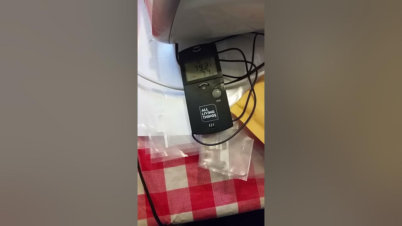 Little Giant deluxe incubator #11300 - YouTube