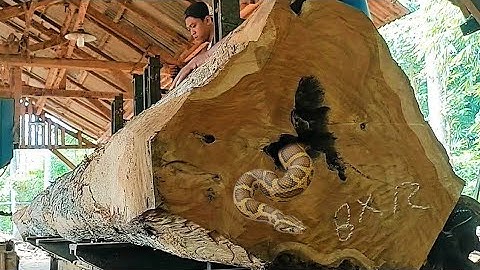 unexpected surprise while sawing giant teak logs at the sawmill