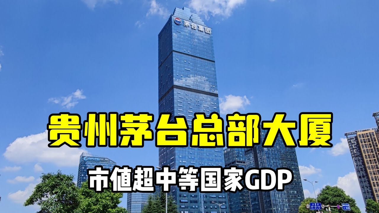 茅台集团持股华贵人寿保险业务协同效应深度分析