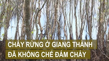Đám cháy rừng ở Giang Thành đã khống chế, cả nước có 119 khu vực nguy cơ rất cao | VTV CẦN THƠ
