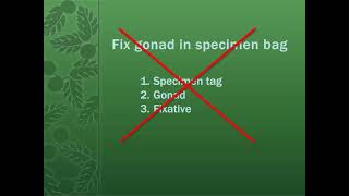 Whole specimen processing (fresh or frozen) Profile