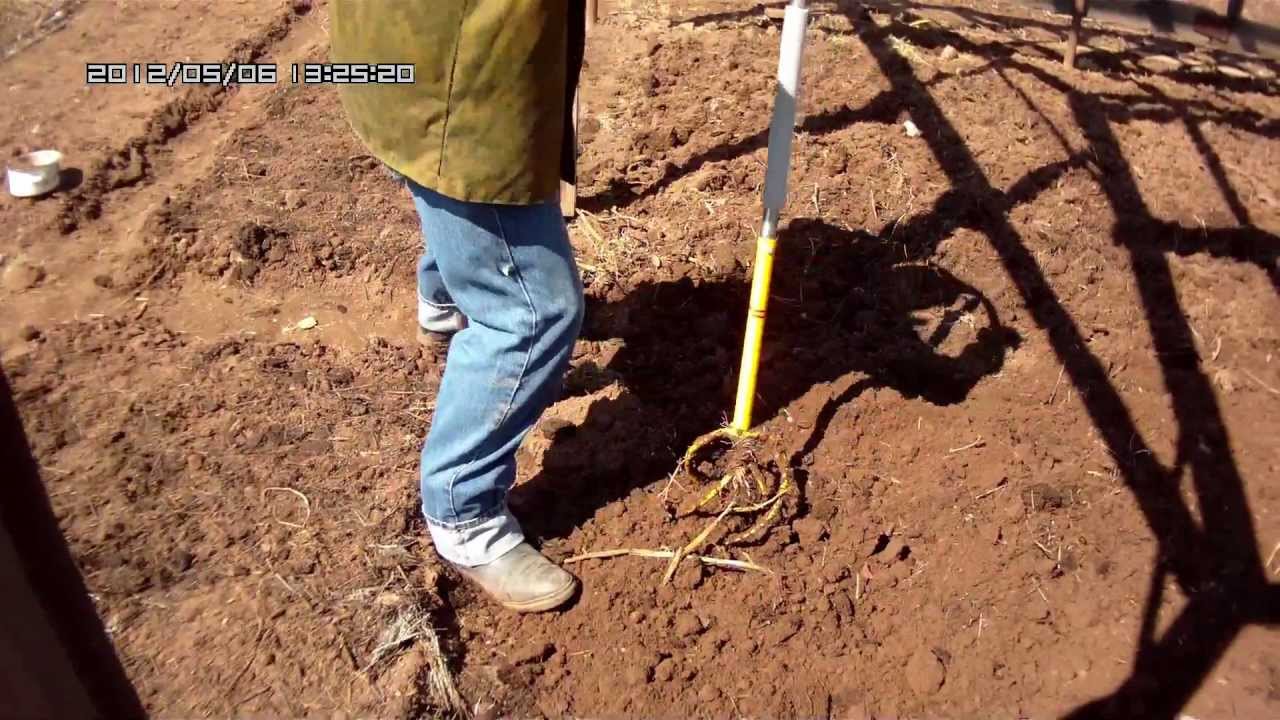 Как сделать ручной культиватор торнадо 161