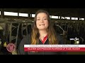 Ask the Expert - National Dairy Month