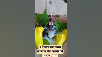 5 बेलपत्र का उपाय सोमवार की अष्टमी को | pradeep mishra अचूक उपाय | #pandit_pradeep_ji_mishra #shorts