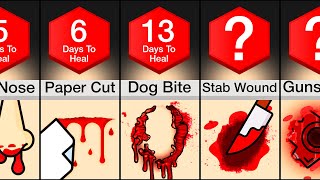 Comparison: Fastest Healing Wounds