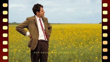 MONITORING MY AQUARIUM TEMPARATURE | FLUVAL 2 IN 1 DIGITAL THERMOMETER