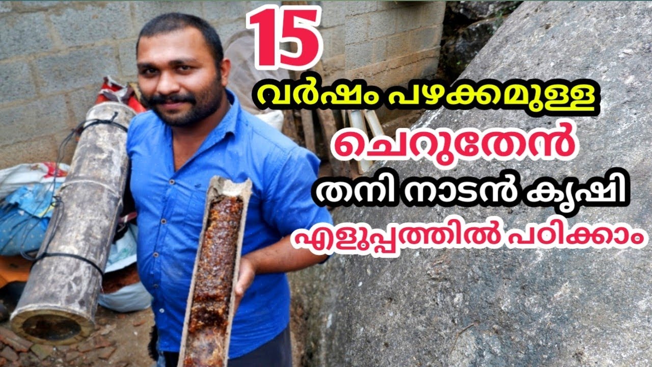 how to make a bee house with bamboo kerala,ഇല്ലി കുംഭത്തിൽ എങ്ങനെ ചെറു തേൻ കൃഷി ചെയ്യാം