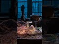 Serpent's Path | Let It Break - Lyric Video ft. Zara Viper & Kai Orochi #Short5 #Shorts