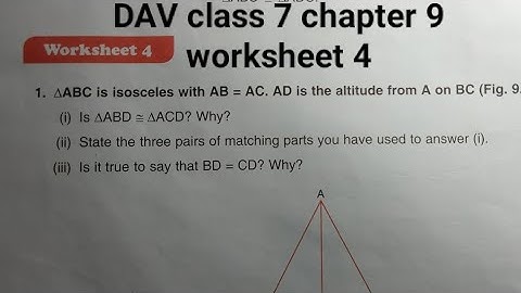 DAV class 7 chapter 9 worksheet 4 ।Class 7 maths chapter 9 worksheet 4 dav public school