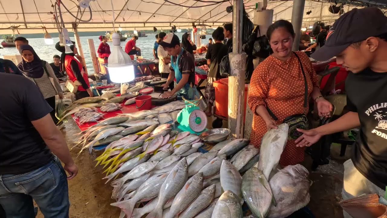 PASAR IKAN TERMURAH DI KOTA KINABALU🔥SABAH UPDATE‼️ 
