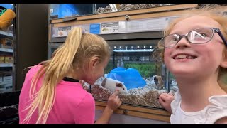 Taking The Quints to a Pet Store!  What Does Dad Get them?