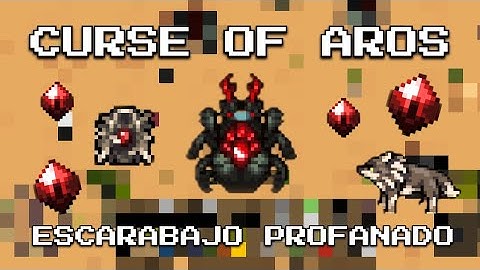 Escarabajo Profanado | Actualización | Curse of aros