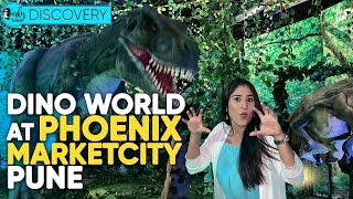 Celebrate Cherry Blossom Period At Phoenix Marketcity Pune & Inside Their Dino World | Curly Tales