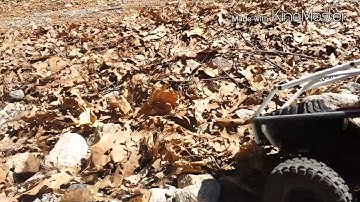 Trailing with the Scx10 Honcho