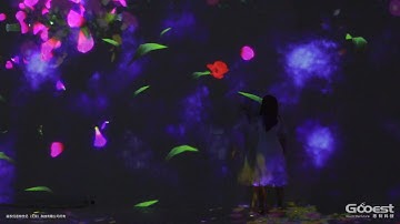 Gooest Produced Interactive Projection Installation -- Flower Sea -- Part 2