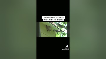 Destroying a hornets nest with a drone