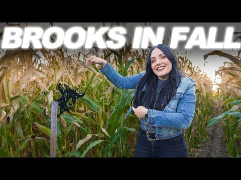 48 Hours in Brooks Alberta in the Fall (MUST WATCH ITINERARY)