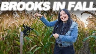 48 Hours in Brooks Alberta in the Fall (MUST WATCH ITINERARY) by Kurtis & Chelsey 1,785 views 1 year ago 3 minutes, 27 seconds