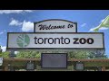 A walk through the toronto zoo