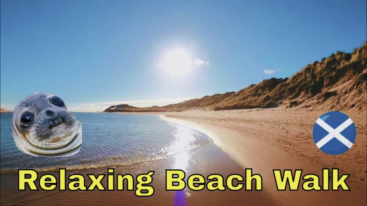 Sun and Seals River Walk #nature #relax #scotland #seal #walkingtour