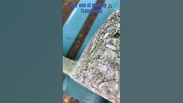 Day 1 of making 💩 transitions