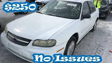 I Won An AT&T Fleet Car At Copart For $250