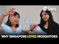 Why Singapore Loves Mosquitoes 45 Why Singapore Loves Mosquitoes 45