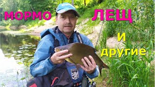 #428 #мормышинг | Эти рыбы отрывают мормышки |