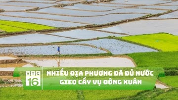 Nhiều địa phương đã đủ nước gieo cấy vụ Đông Xuân | VTC16