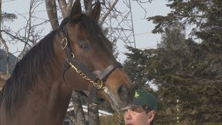 【HTBニュース】ディープインパクト　死す