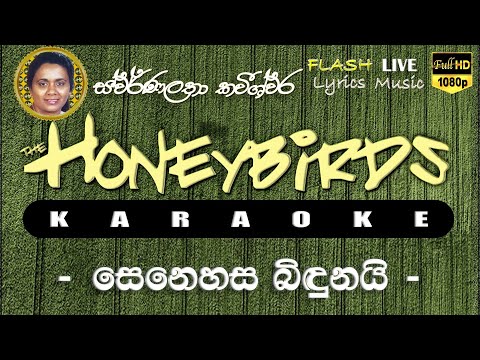 Senehasa Bidunai Ikibida Hadannepa Karaoke (Without Voice) සෙනෙහස බිඳුනයි ඉකිබිඳ අඬන්නෙපා කැරෝකේ