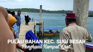 Download Lagu Pulau Bahan Hasilkan Rumput Laut Kecamatan Moro / Kecamatan Sugi Besar MP3