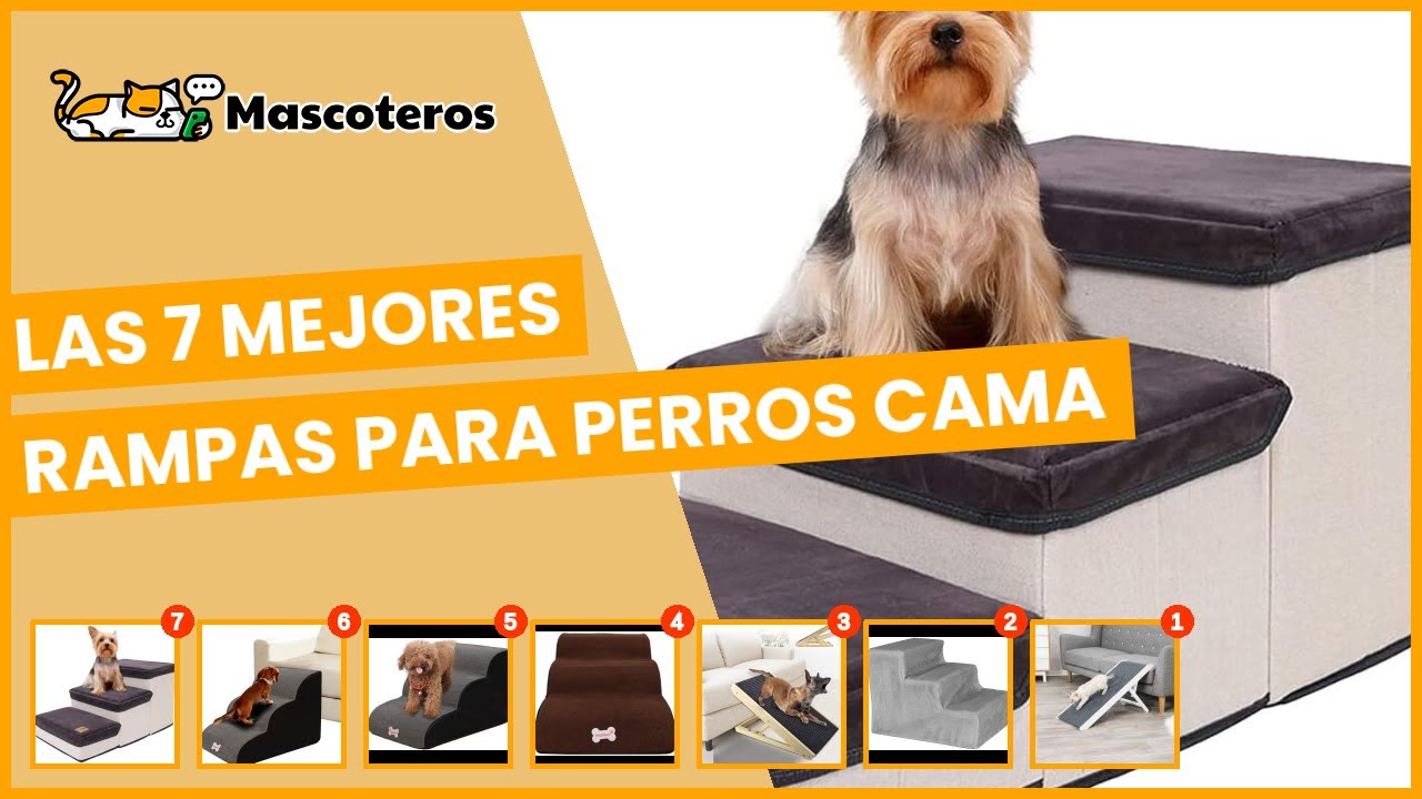 Como Crear Escalera Para Mascotas! - Hazlo Tu Mismo! 