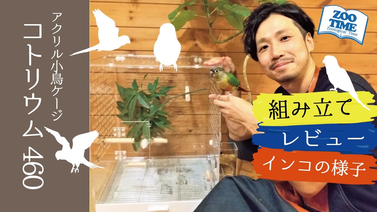 ☆【コトリウム460】アクリル製クリアバードケージをご紹介