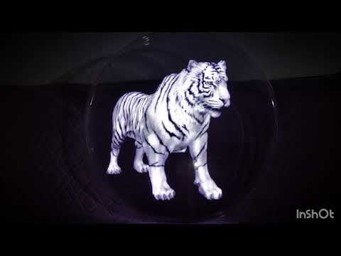 Watch the 3D animals on hologram