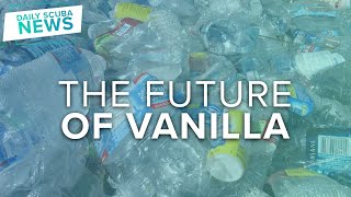 Future of Vanilla, is Plastic | Daily Scuba News 4K