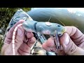 Fishing A Rat Lure For Angry River Bass!
