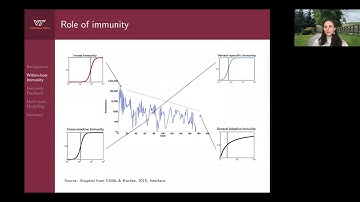 Modelling Immunity to Malaria