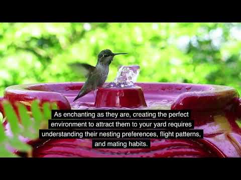 Videó: Használnak-e madárházat a diófélék?