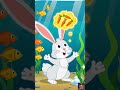 खरगोश का सपना #reels #cartoon #panchatantrastories #kidscartoon #chuchutv #kids #kidsshorts #shorts