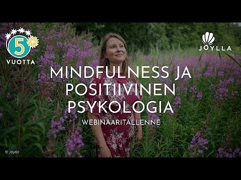 Video: Käytännön Psykologin Lisävälineet